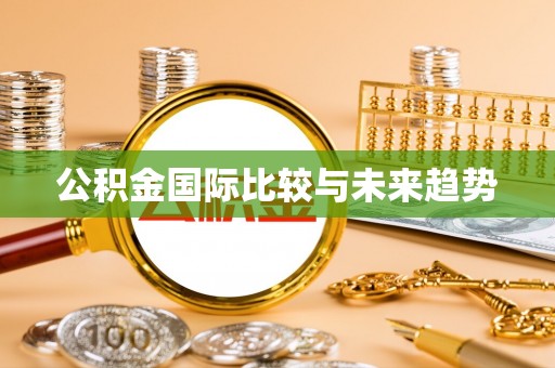 平桥公积金国际比较与未来趋势