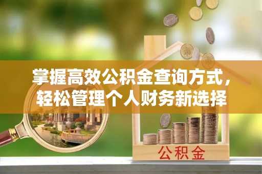 平桥掌握高效公积金查询方式，轻松管理个人财务新选择