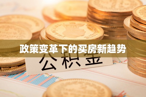 平桥政策变革下的买房新趋势