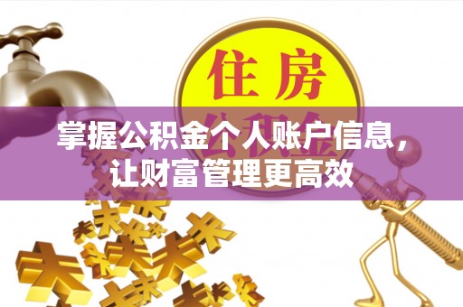 平桥掌握公积金个人账户信息，让财富管理更高效